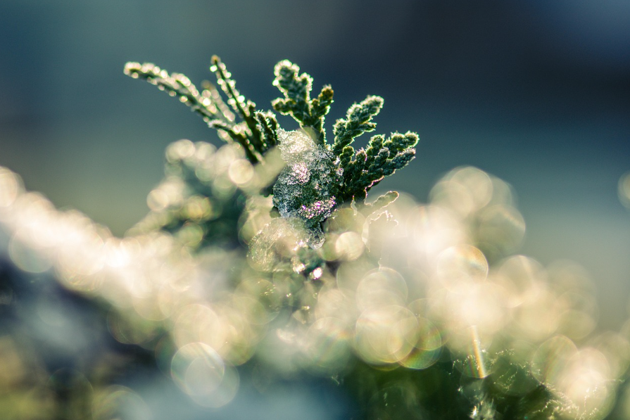 산과 계절을 담은 한국 영화 관련 사진