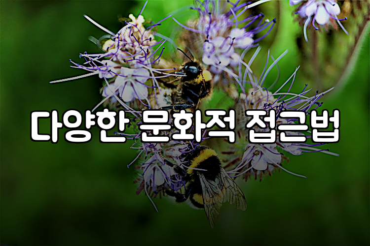 다양한 문화적 접근법