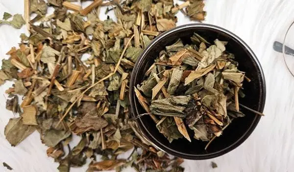 삼백초 추출물 효능