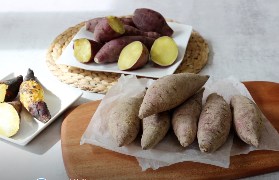 여주-고구마-줄기-땅콩-영자씨네농원