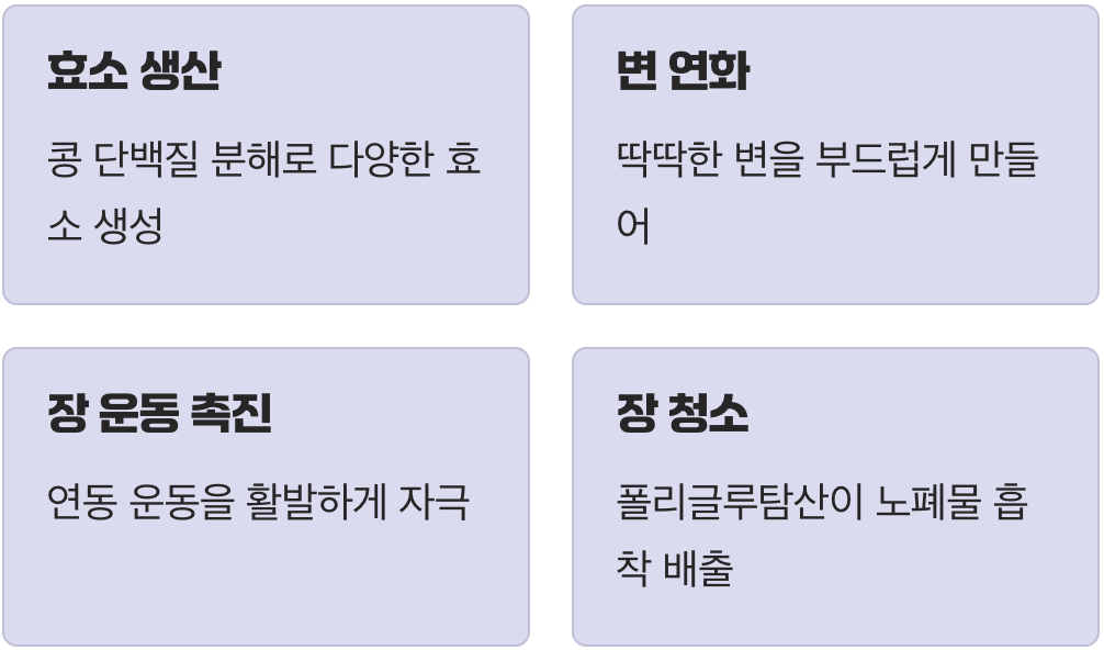 변비 탈출의 지름길, '바실러스균'의 활약
