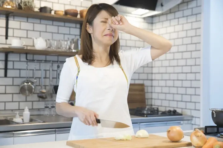 눈물없이 양파썰기