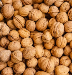 호두 효능과 부작용 하루섭취량 먹는방법 고르는법