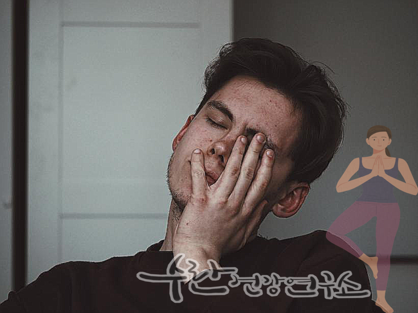 비맥스 메타 가격