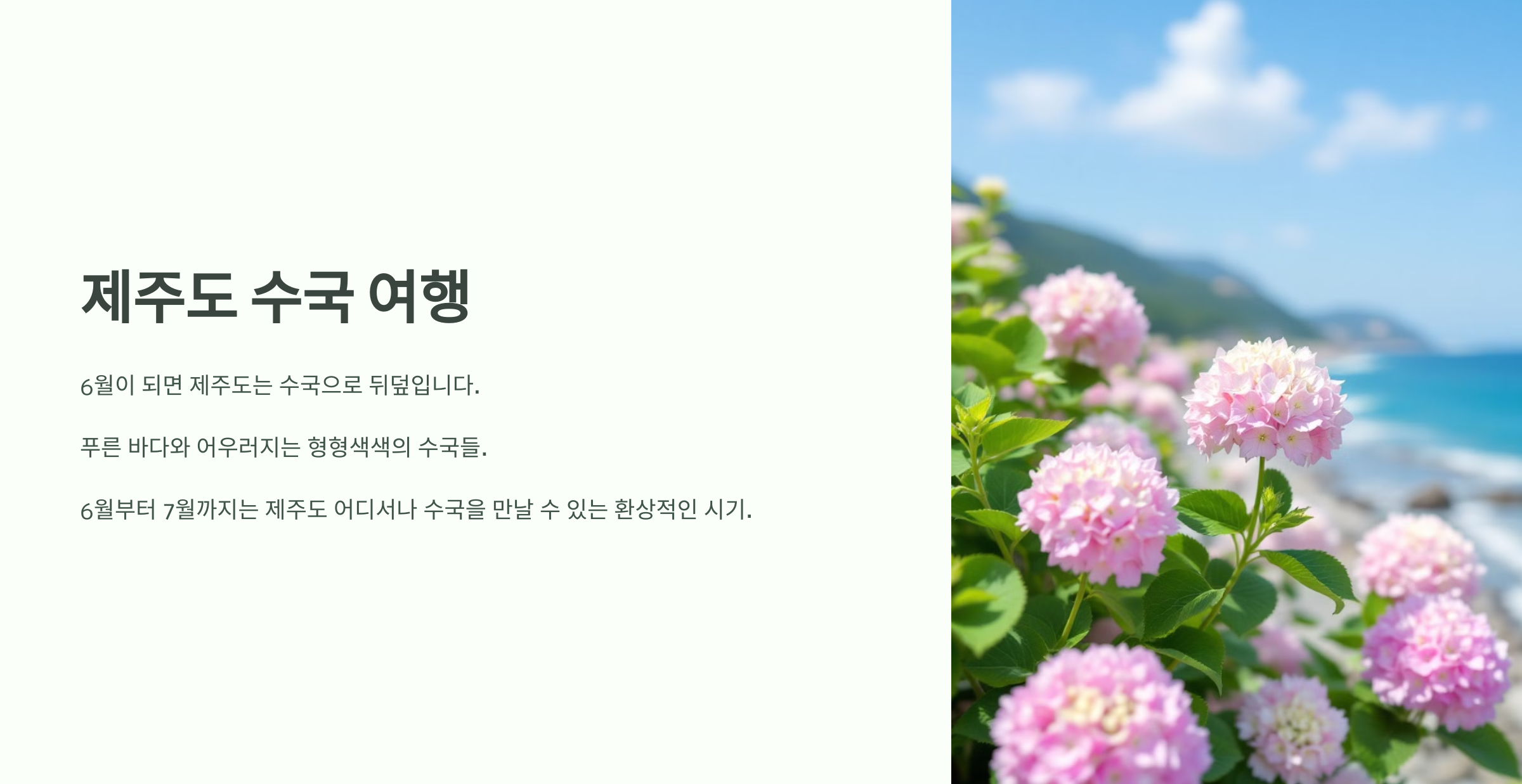 제주도 수국여행