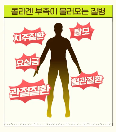 비오틴 효능
