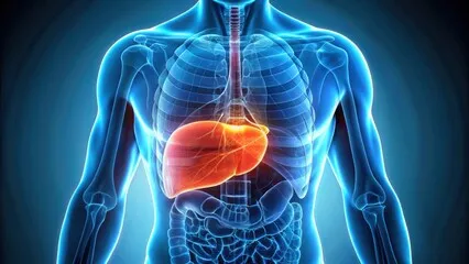 내장지방이 부르는 위험한 질병들