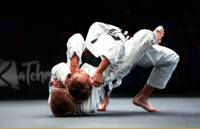 주짓수 벨트순서