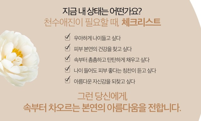 천수애진 가격