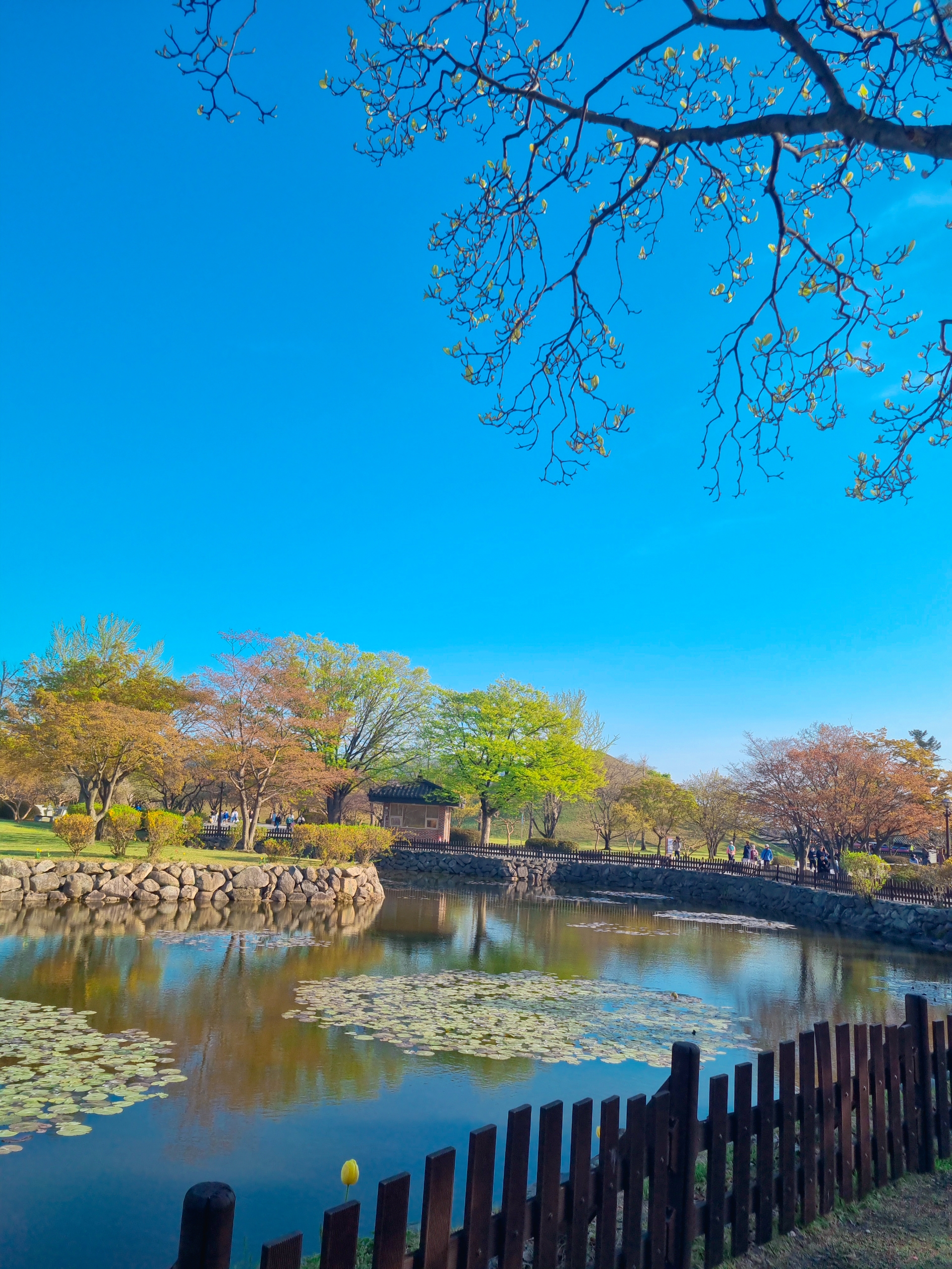 경주 대릉원