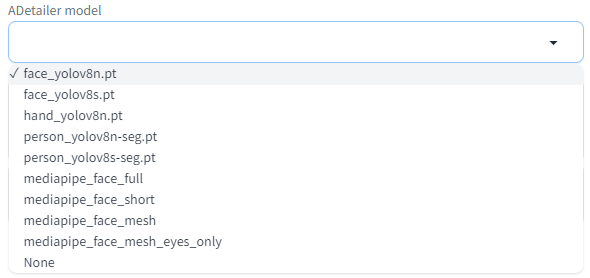 After Detailer의 Detection model