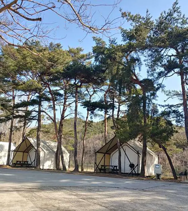 수림휴원