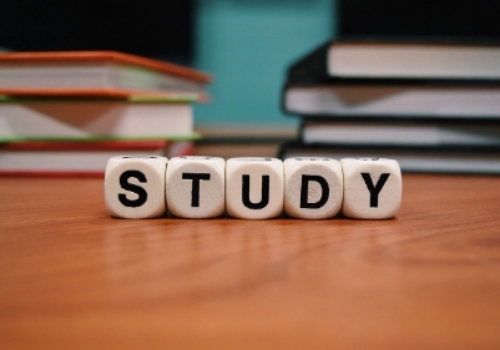 기초생활수급자 교육급여