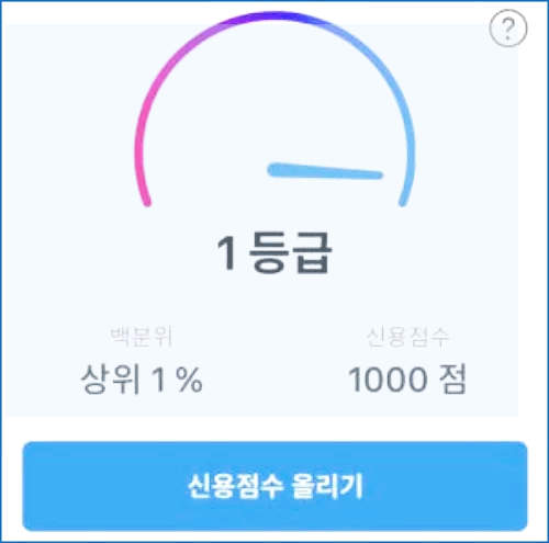 신용점수 1등급