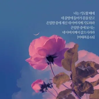 마태복음 6장 설교 영감_4