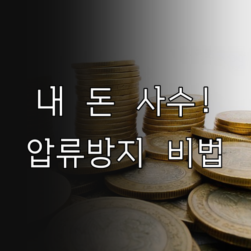 압류 방지 전용 계좌 종류와 수급비 ..