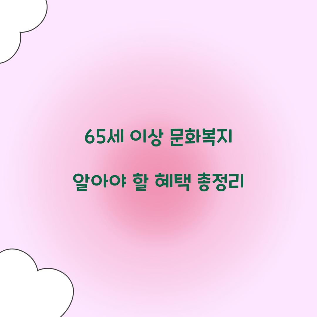 65세 이상 문화복지