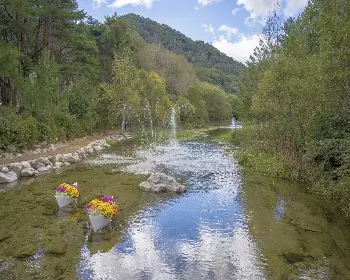 인제 가을꽃축제_23