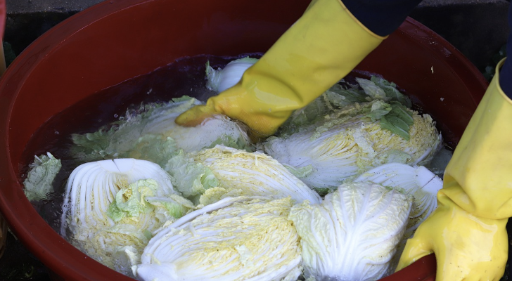 코리아 수산 페스타, 김장철 김장재료 최대 50% 할인