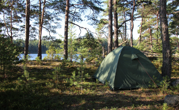 강원도 차박 명소에 대한 이미지