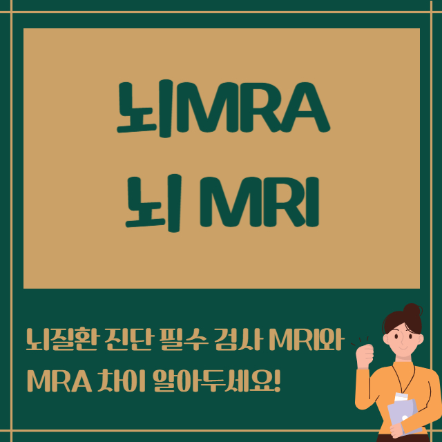 뇌MRA 뇌MRI