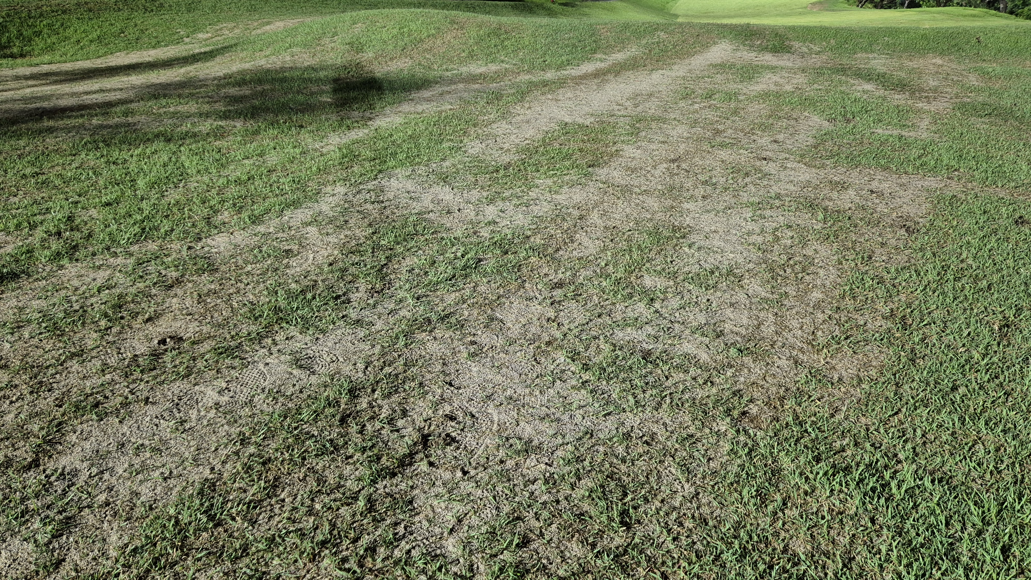 이포cc 라운드 후기