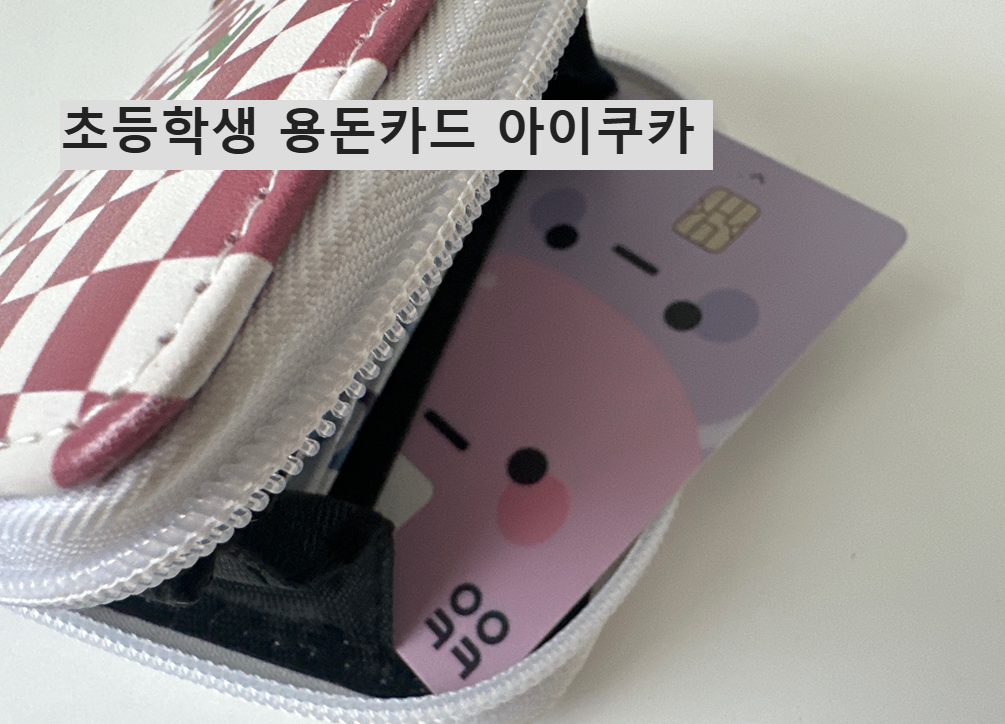 초등학생 용돈카드 아이쿠카