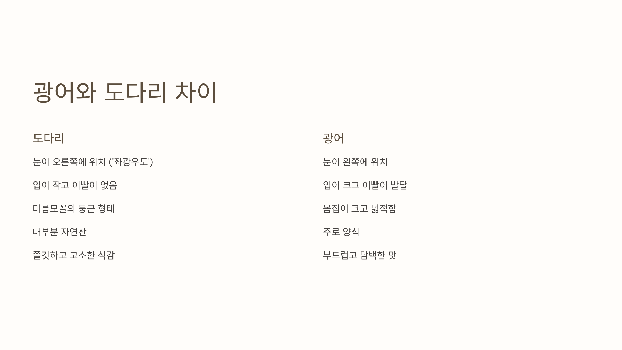 광어와 도다리 차이