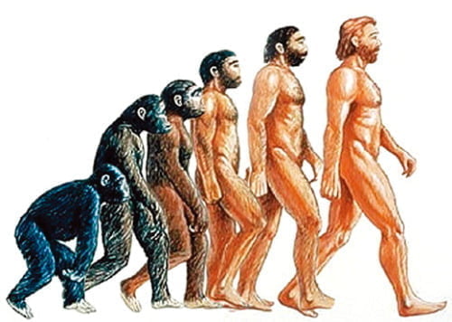 진화론으로 보는 인간커뮤니케이션, 동물과 인간 커뮤니케이션의 차이점