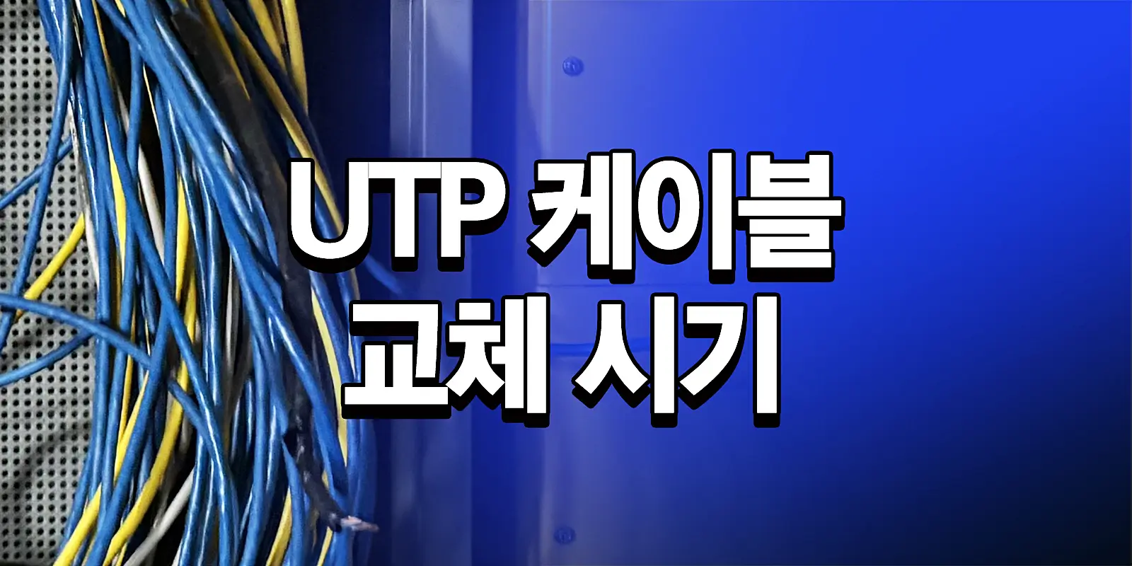 UTP 케이블 교체