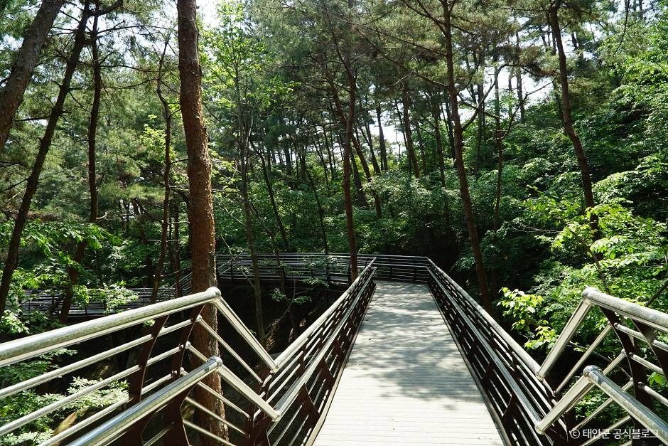 백화산