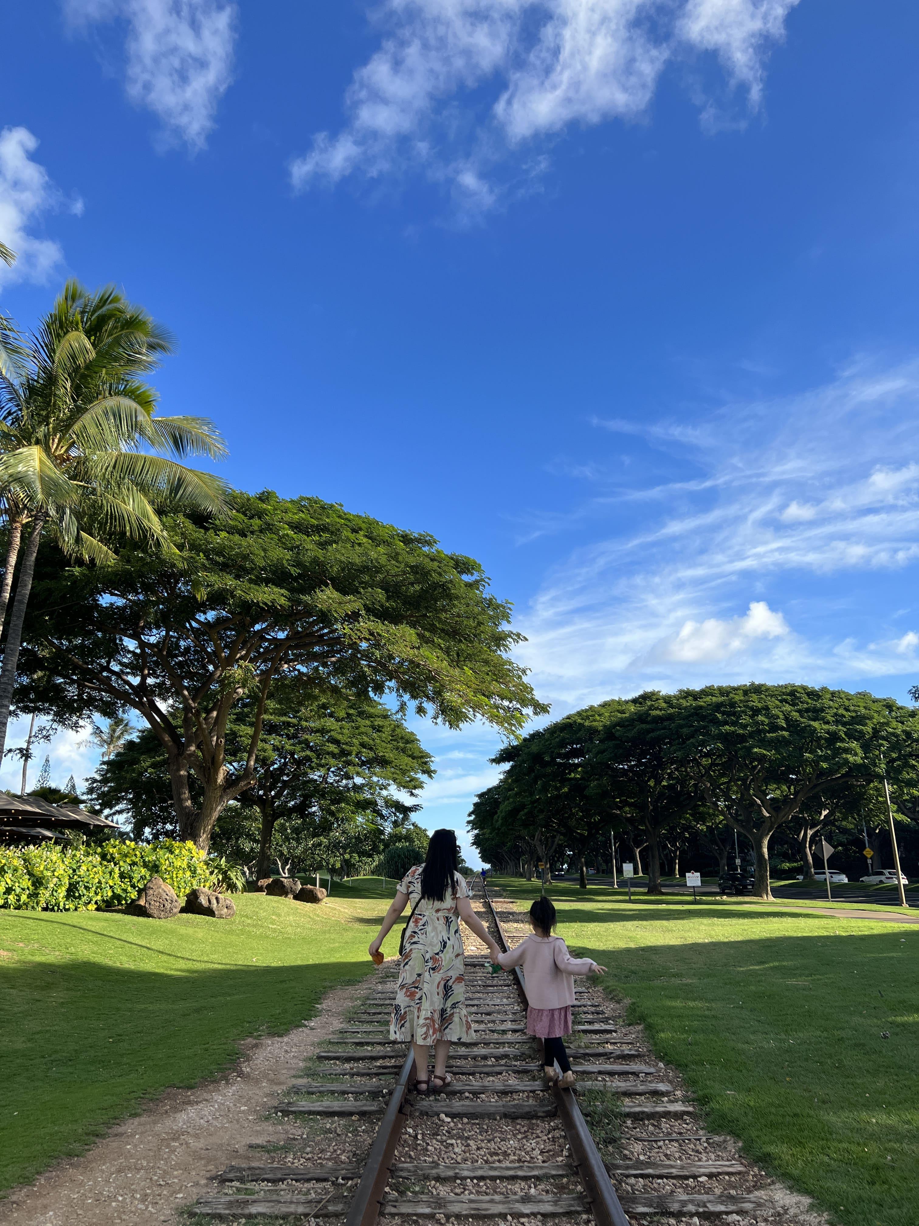 크리스마스-하와이여행-디즈니-리조트