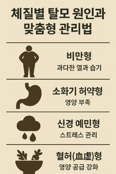 체질별 탈모 원인과 맞춤형 관리법