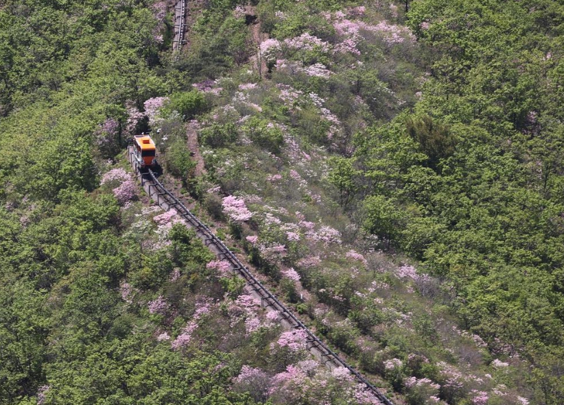 산철쭉길 대봉산 모노레일