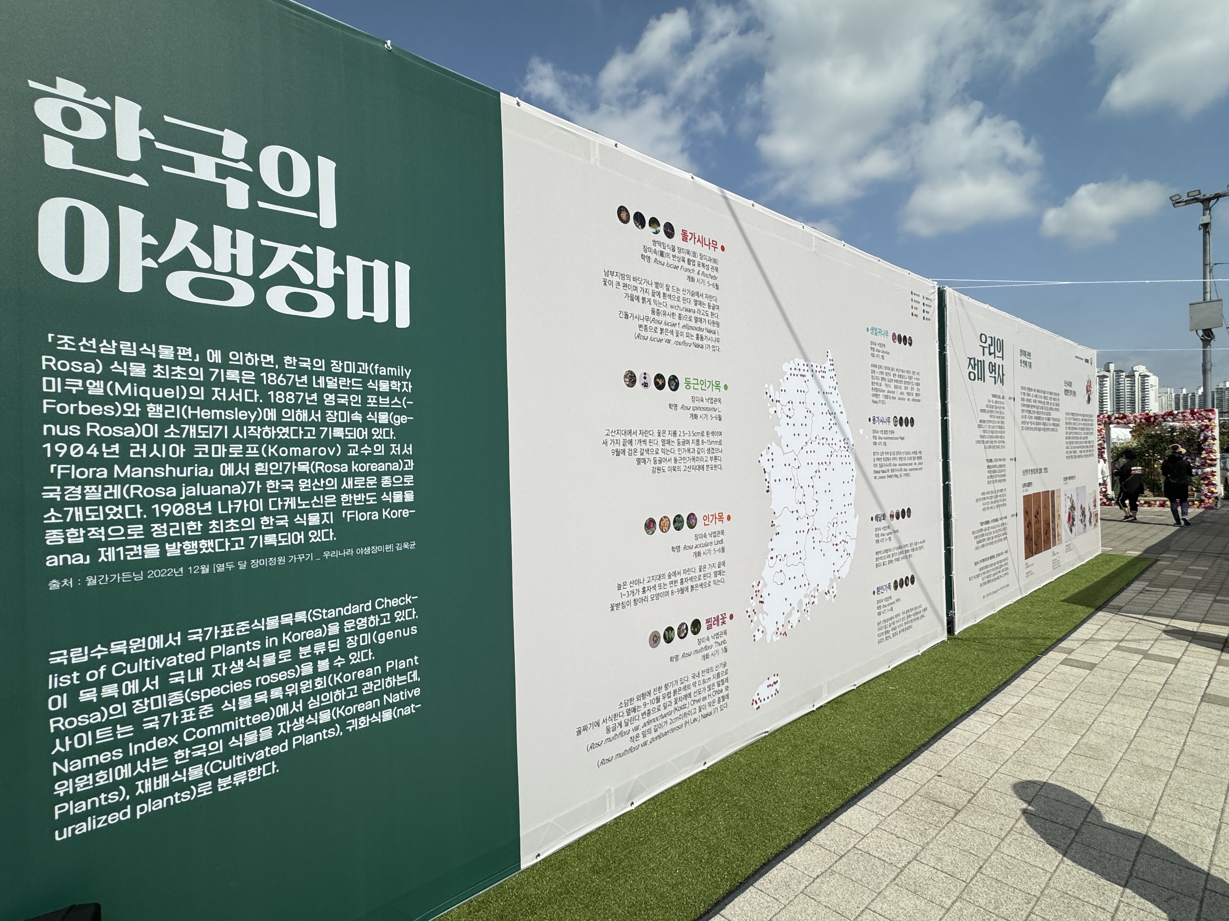 장미축제
