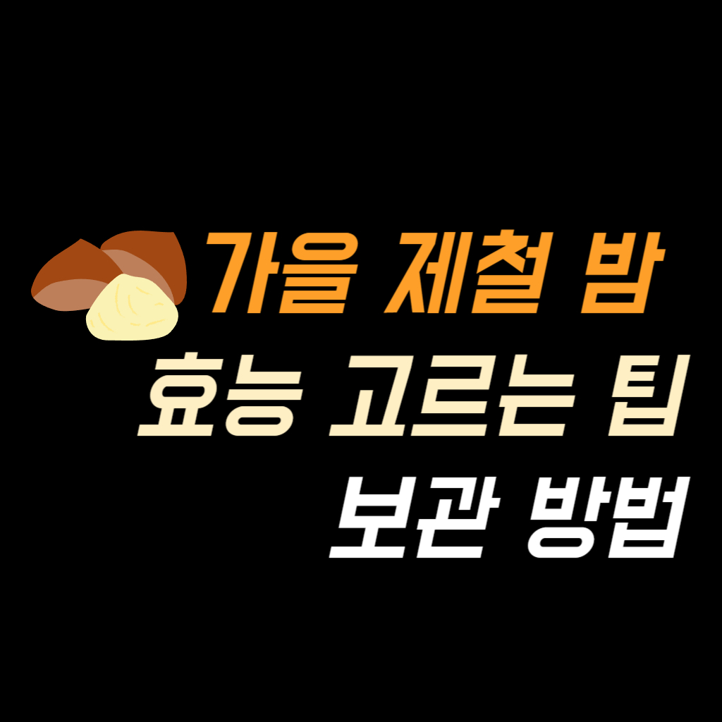 가을 제철 밤 효능 고르는 팁 보관 방법 썸네일 사진