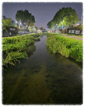 수원천