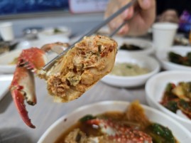 태안 맛집 베스트10 현지인 추천 관련 사진