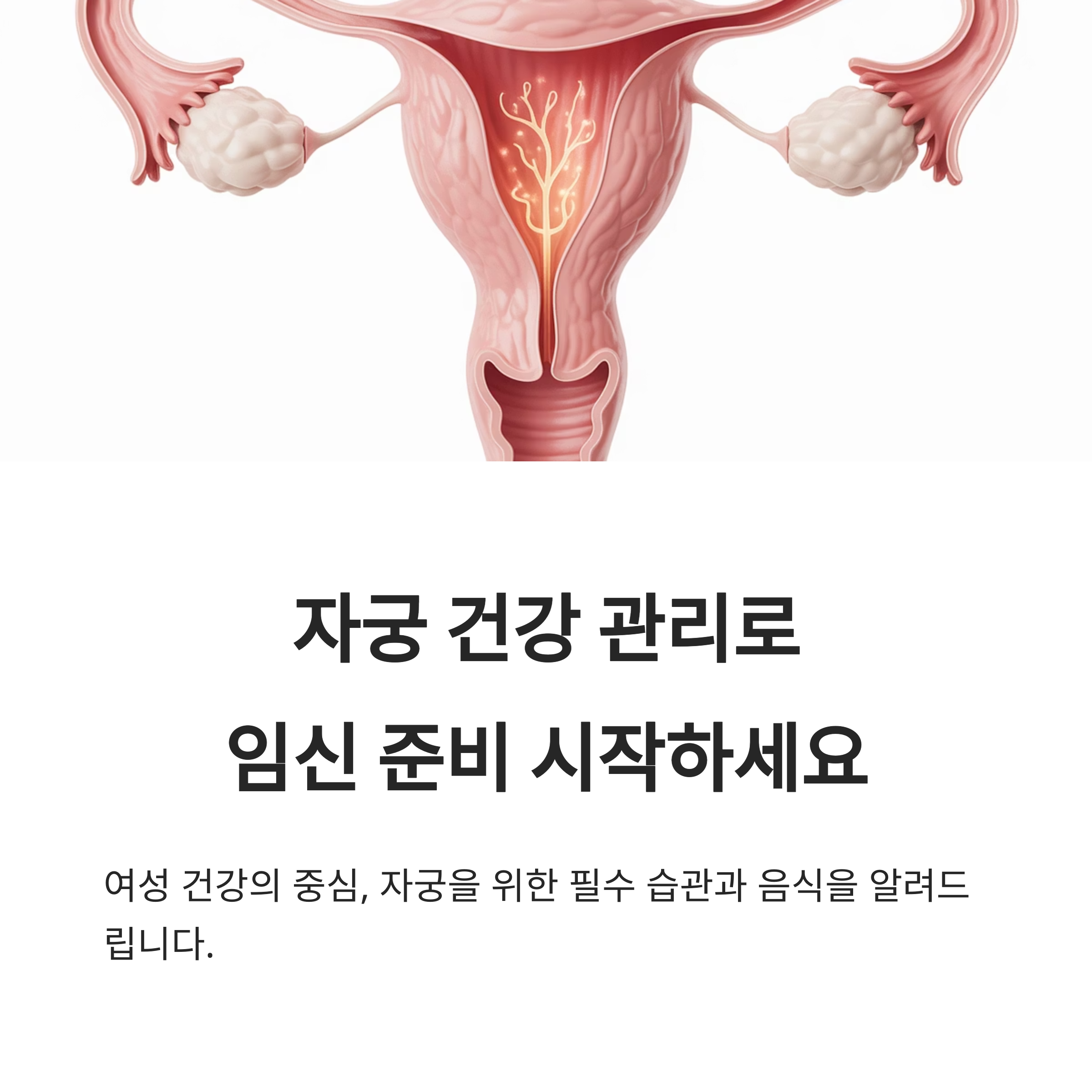 자궁 단면 일러스트 이미지와 함께 "자궁 건강 관리로 임신 준비 시작"을 강조하는 건강 안내 이미지