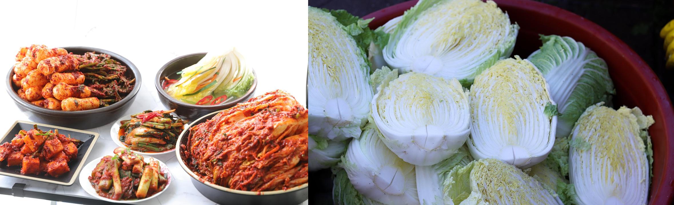 2025년 김장철, 언제가 적기일까? 지역별 김장 시기 완벽 정리