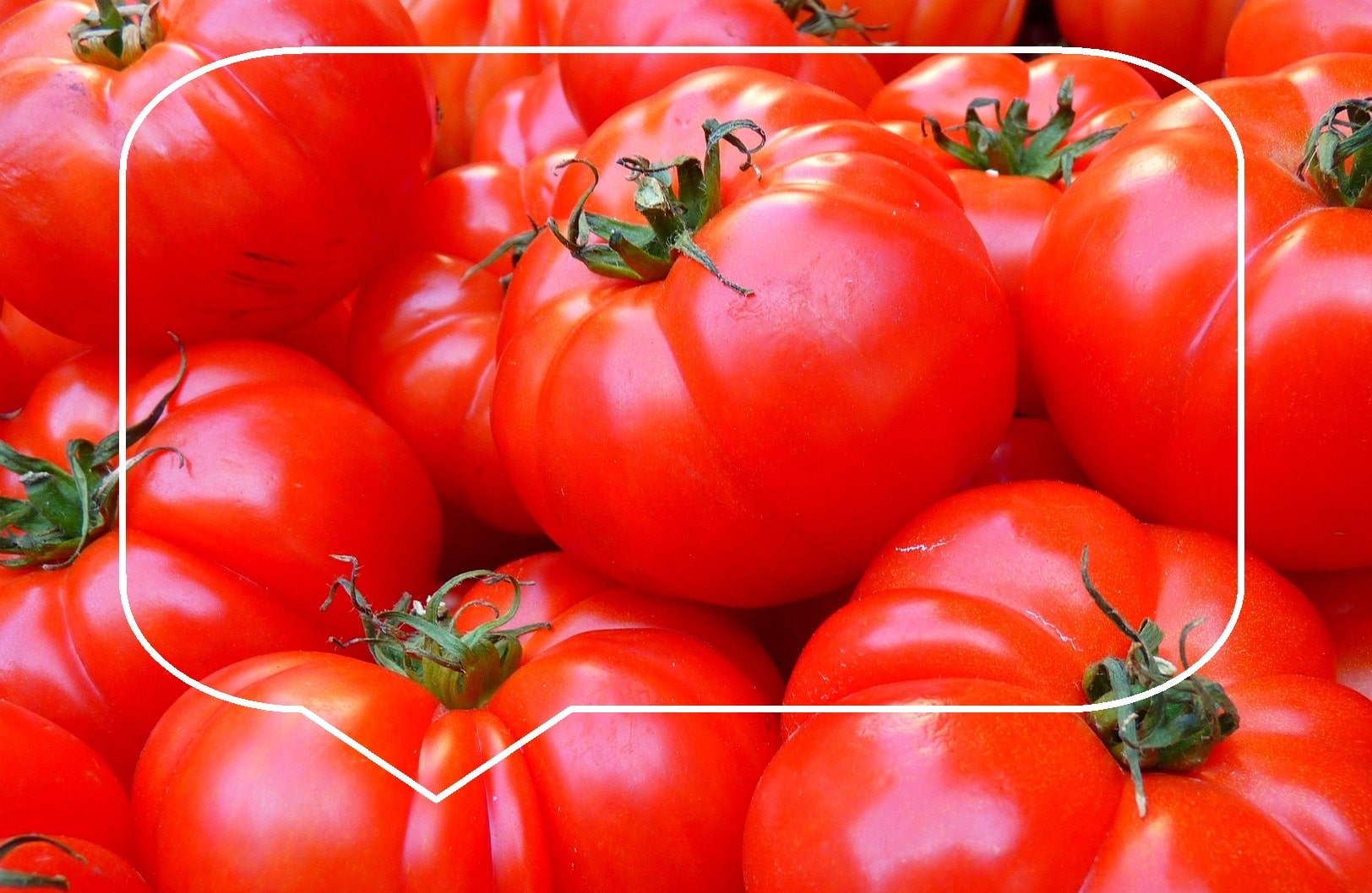 당뇨에 좋은 음식 토마토