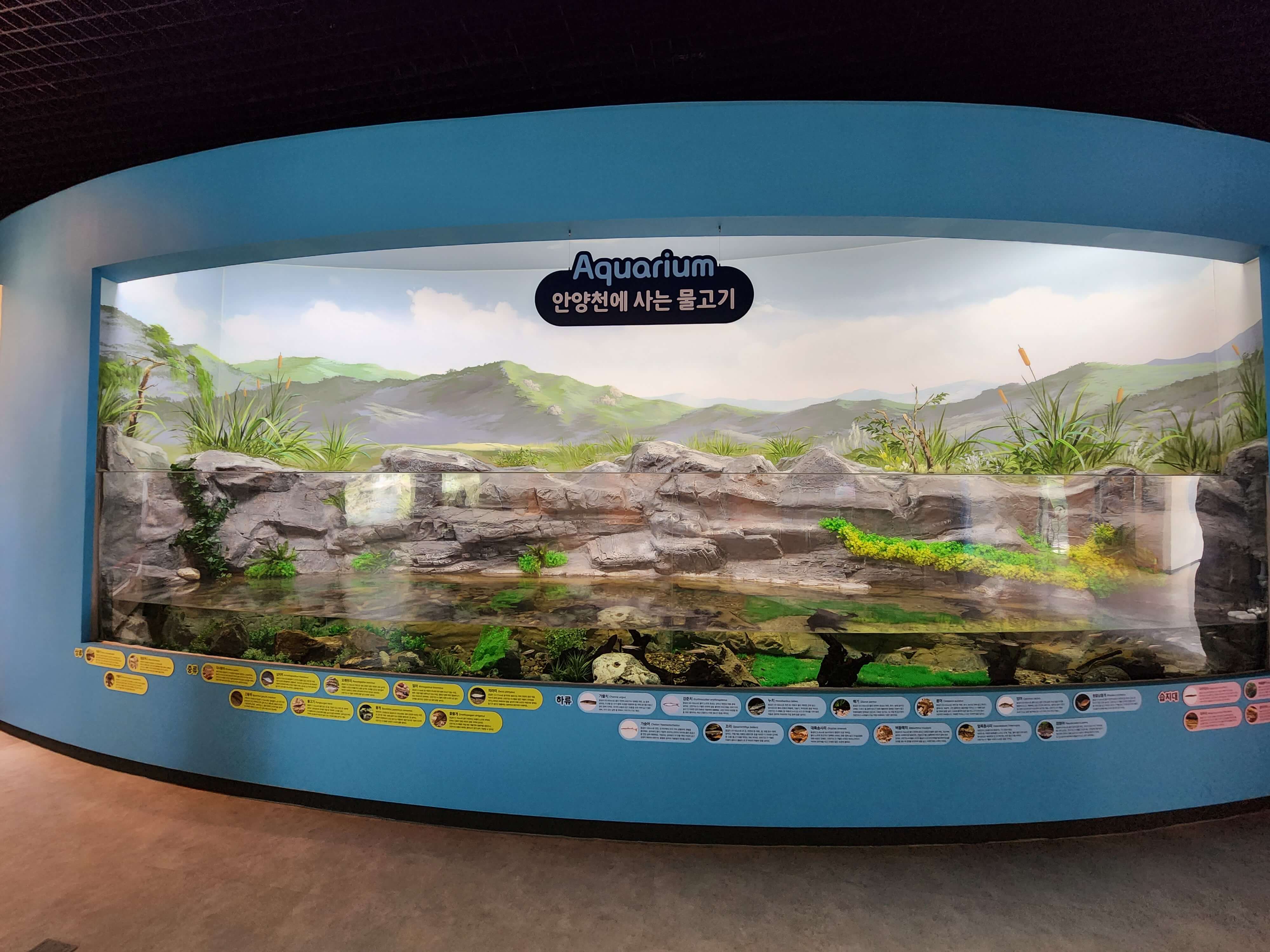 아쿠아리움