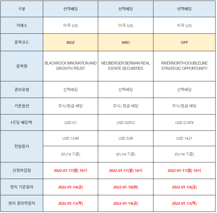 미국주식 선택배당 BIGZ, NRO, OPP