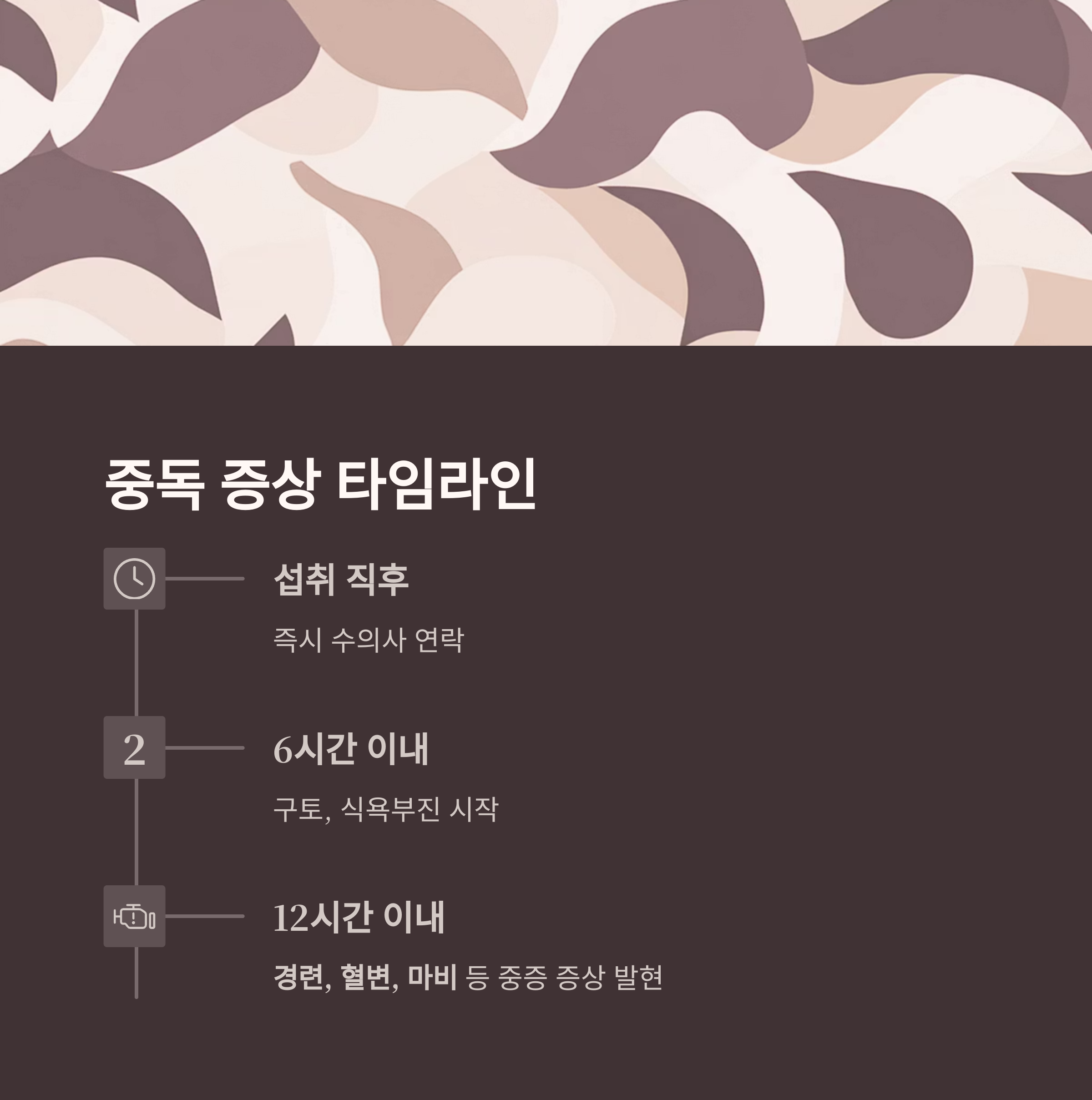 중독 증상 타임라인