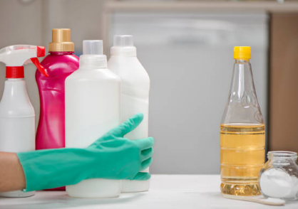 식초 효능, 복용법, 활용법 총정리 (2024ver)