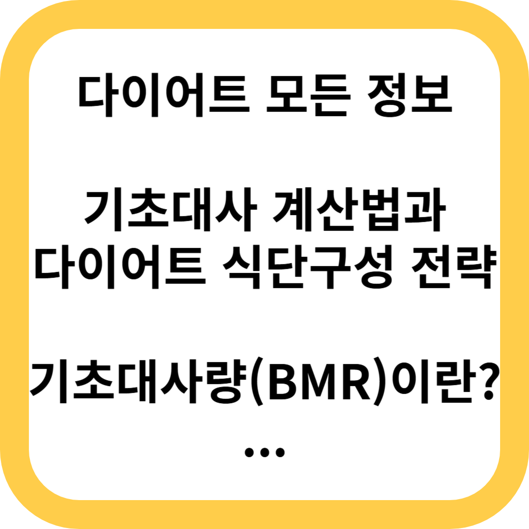 기초대사량 계산 다이어트