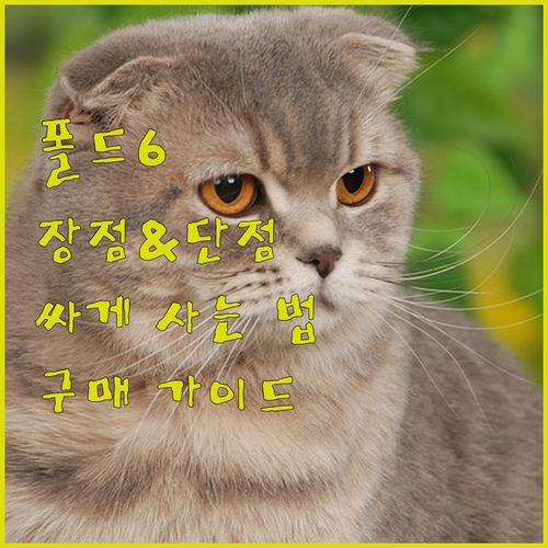 갤럭시 폴드 6 구매 가이드 장점 단..