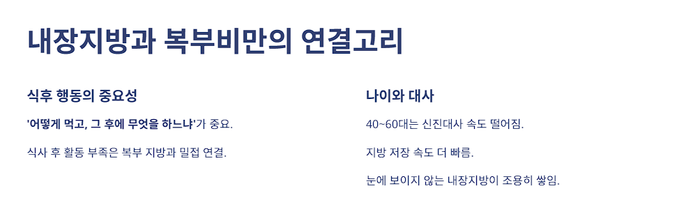 내장지방과 복부비만의 연결고리