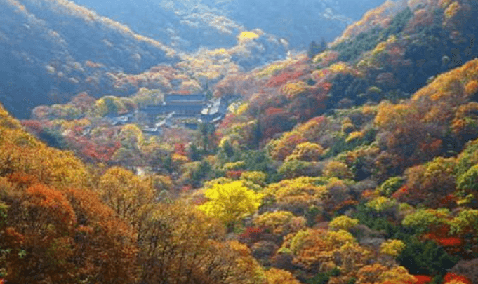 22년 내장산 국립공원 단풍 내장사