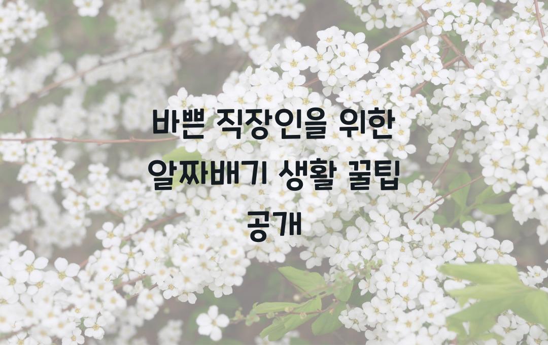 바쁜 직장인을 위한 알짜배기 생활 꿀팁